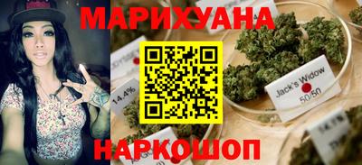 гидра Будённовск