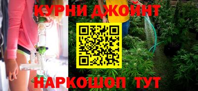 гидра Будённовск