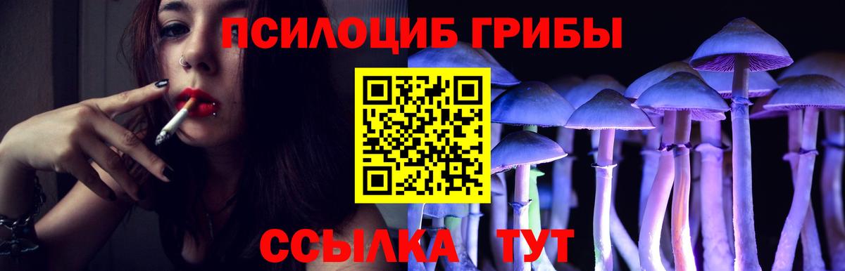 Псилоцибиновые грибы GOLDEN TEACHER  Галлюциногенные грибы мицелий  Новоалтайск  Вход с VPN 